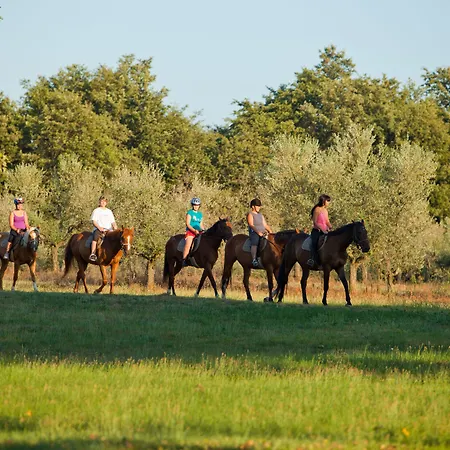 Astra Plava Laguna 2* 波雷奇